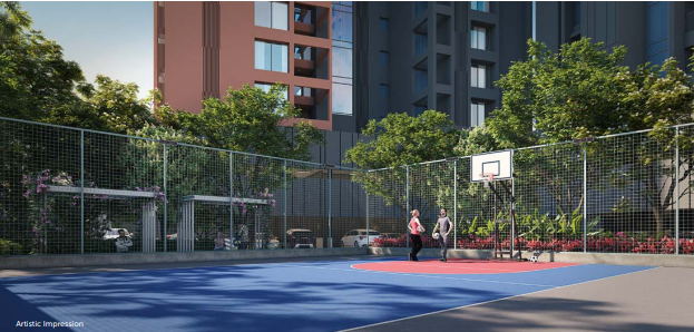Basketball Court